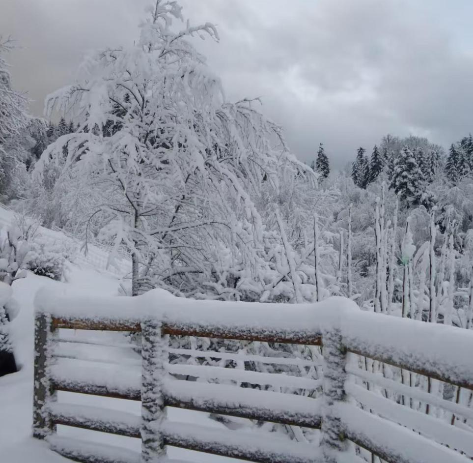 Gite La Bergerie Chalet Independant Kirchberg Dış mekan fotoğraf